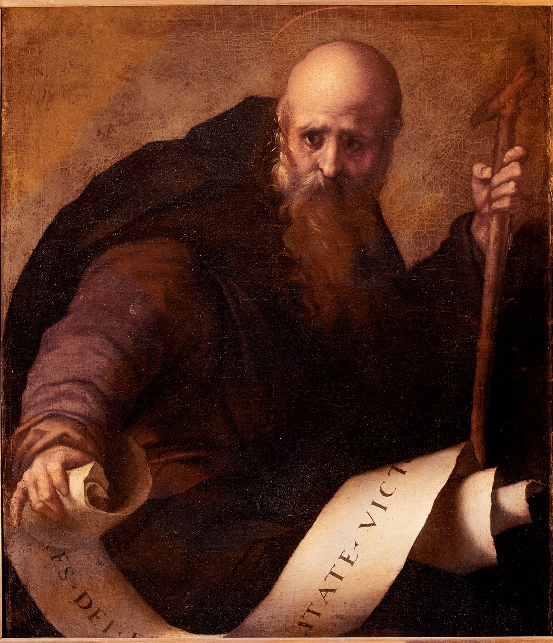 Pyhä Antonius, Abbe Pyhän Antonius Suuren (250/251-356) (tai Pyhän Antonius Erakon tai Pyhän Anthony Abbe) edustus. Jacopon (Iacopo) maalaus Carrucci dit il Pontormo (Pontormo) (1494-1556) 1519 noin. Aurinko. 78x66 cm Firenze, Galleria d tekijältä Jacopo Pontormo