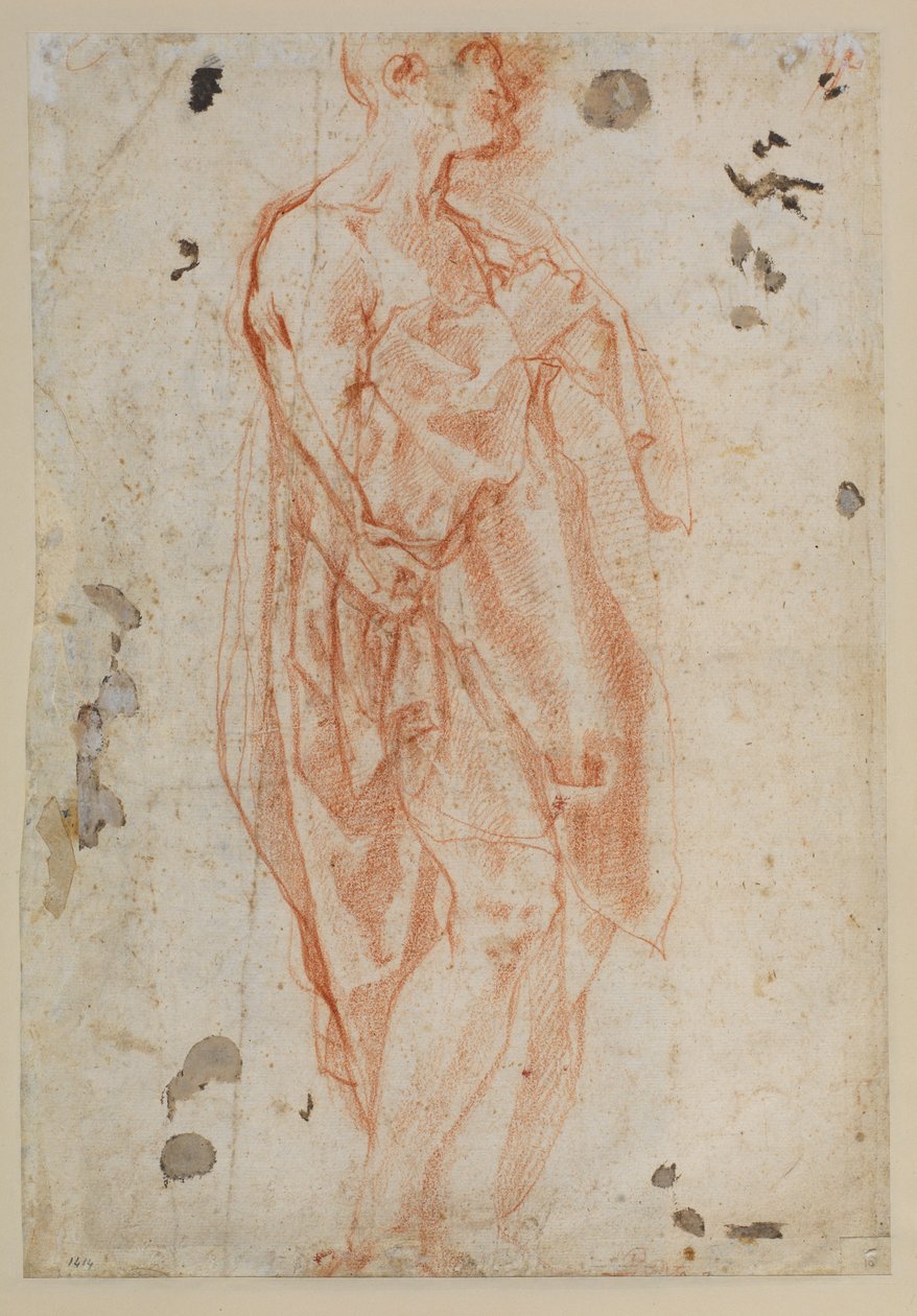 Opiskelu Saint Jeromelle tekijältä Jacopo Pontormo