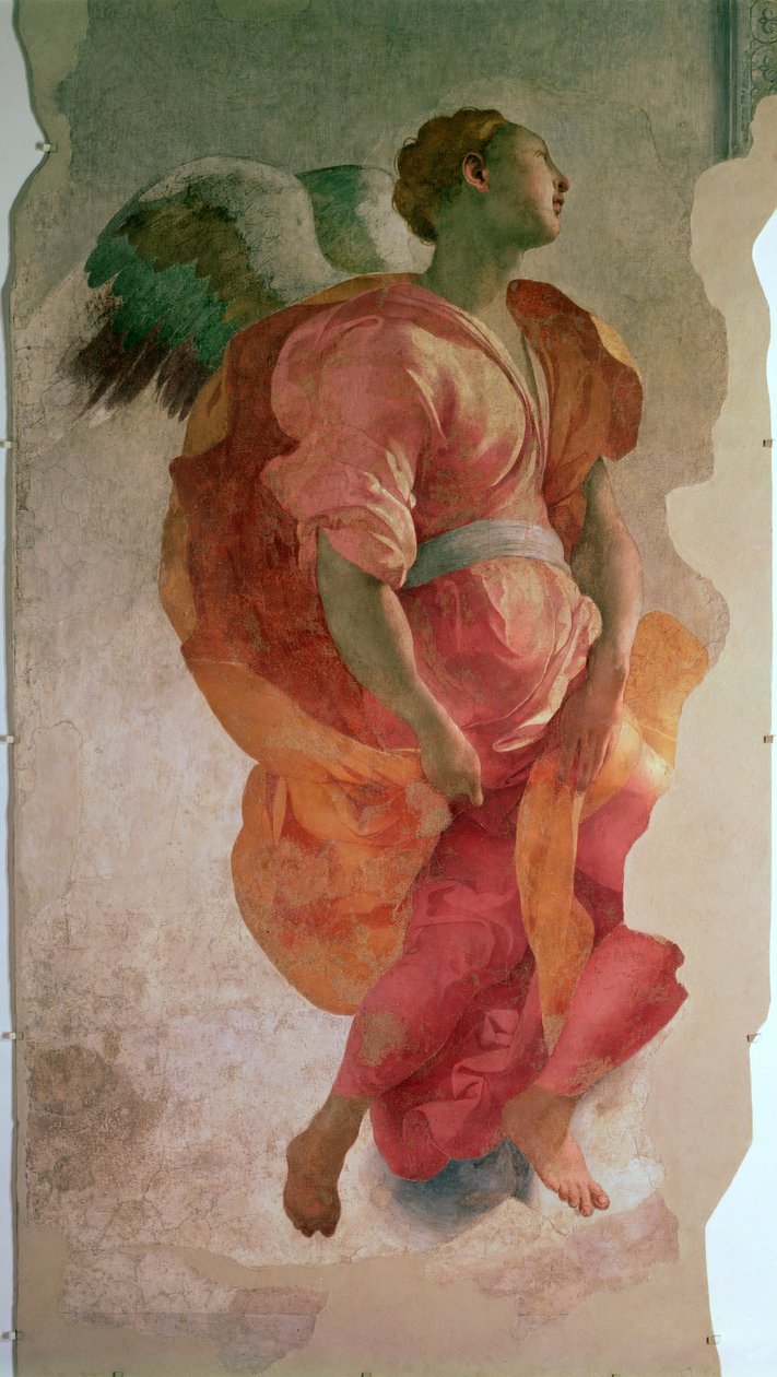 Marian ilmestys, enkelin yksityiskohta, n.1527, fresko yksityiskohta 57520, katso myös 94965. tekijältä Jacopo Pontormo