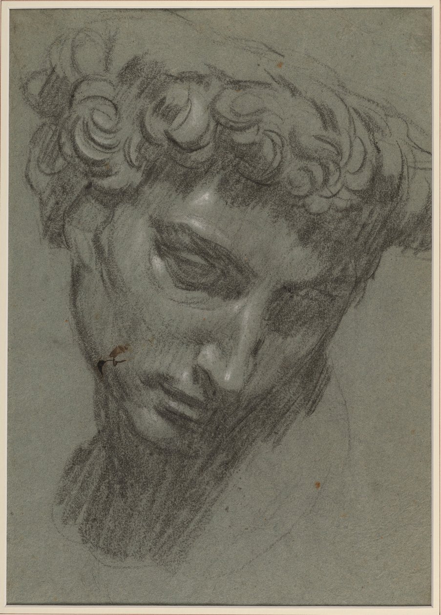Retrato de Giuliano de