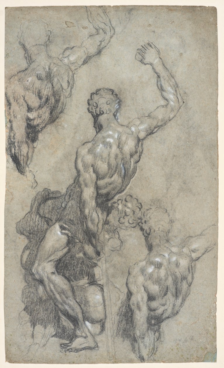 Michelangelon "Samson ja filistealaiset" tutkimukset n. 1575–1585 (liitu, puuhiili, guassi, paperi) tekijältä Jacopo Robusti (workshop of) Tintoretto