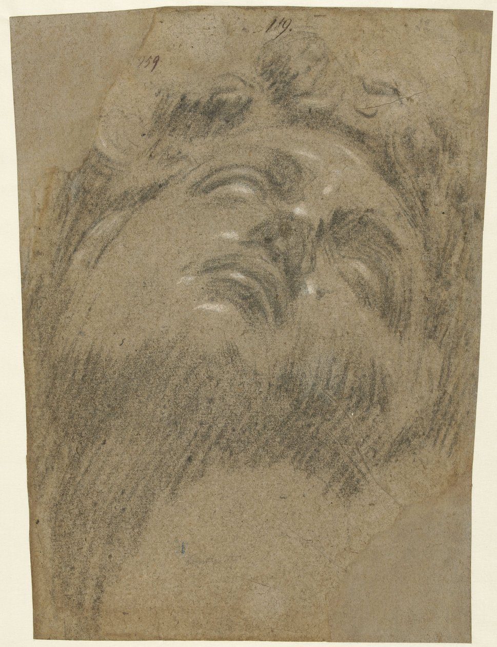 Giuliano dei Medici Michelangelon mukaan, noin 1550 (liitu paperille). tekijältä Jacopo Robusti Tintoretto