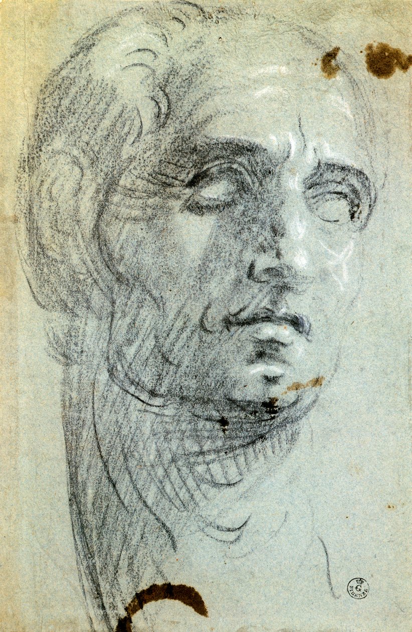 Cap masculí de Jacopo Robusti conegut com a Tintoretto (1518-1594), dibuix finlandès tekijältä Jacopo Robusti Tintoretto