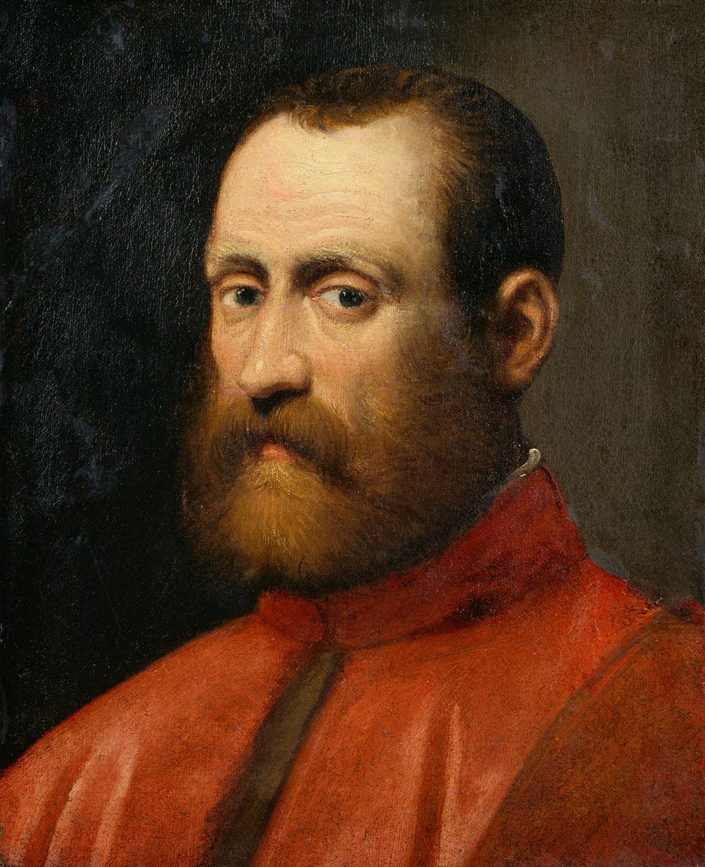 Prokuraattorin muotokuva (öljy kankaalle) tekijältä Jacopo Robusti Tintoretto