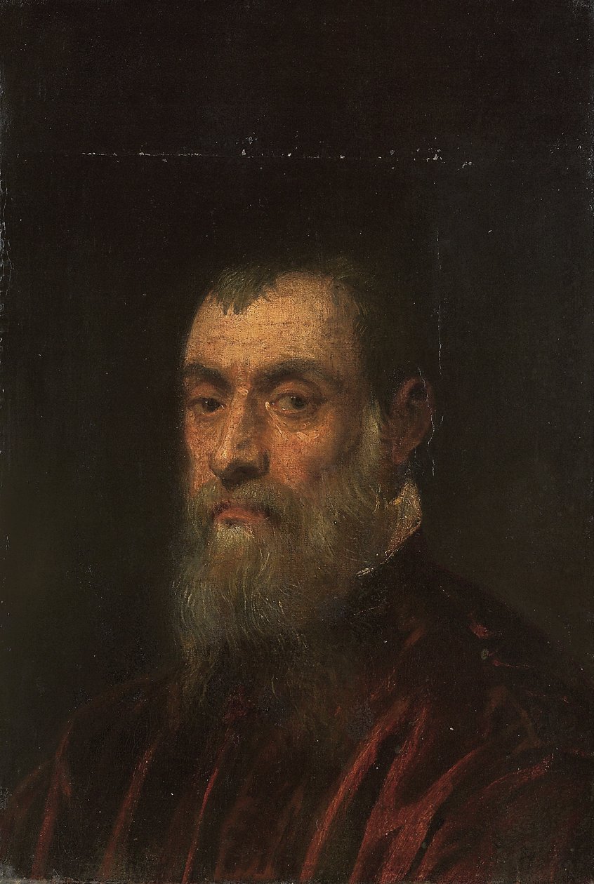 Muotokuva parrakkaasta miehestä, rinnan mittainen, punaisessa mekossa tekijältä Jacopo Robusti Tintoretto