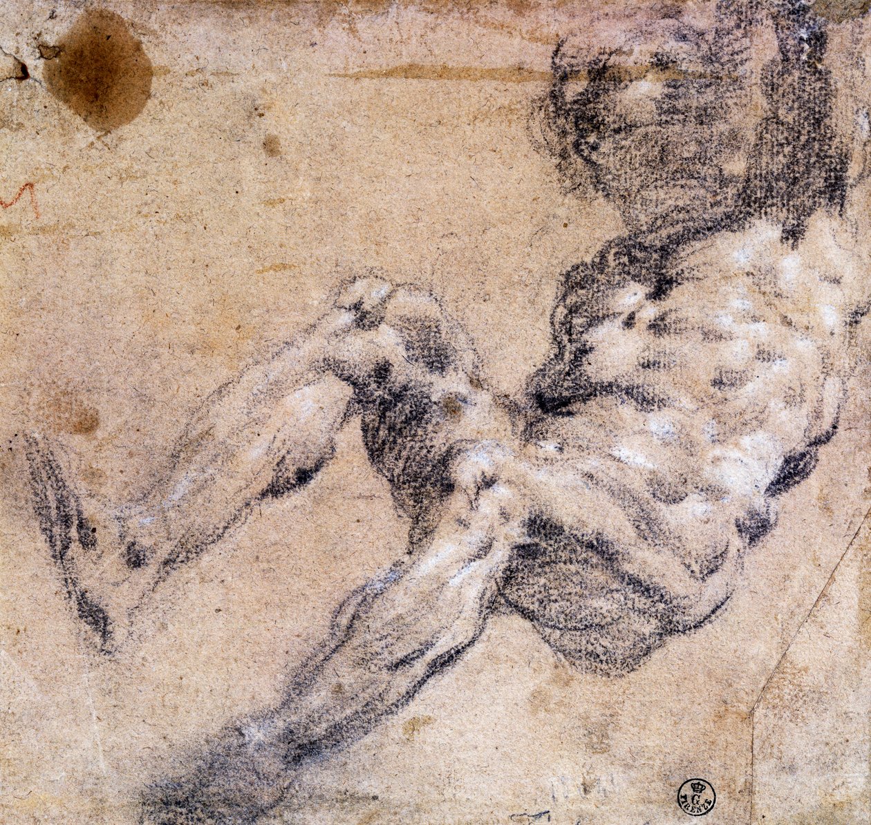 Tutkimus miesten alastomista tekijältä Jacopo Robusti Tintoretto