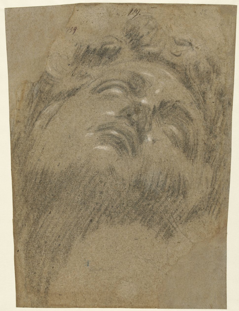 Hoofd van Giuliano dei Medici tekijältä Jacopo Tintoretto