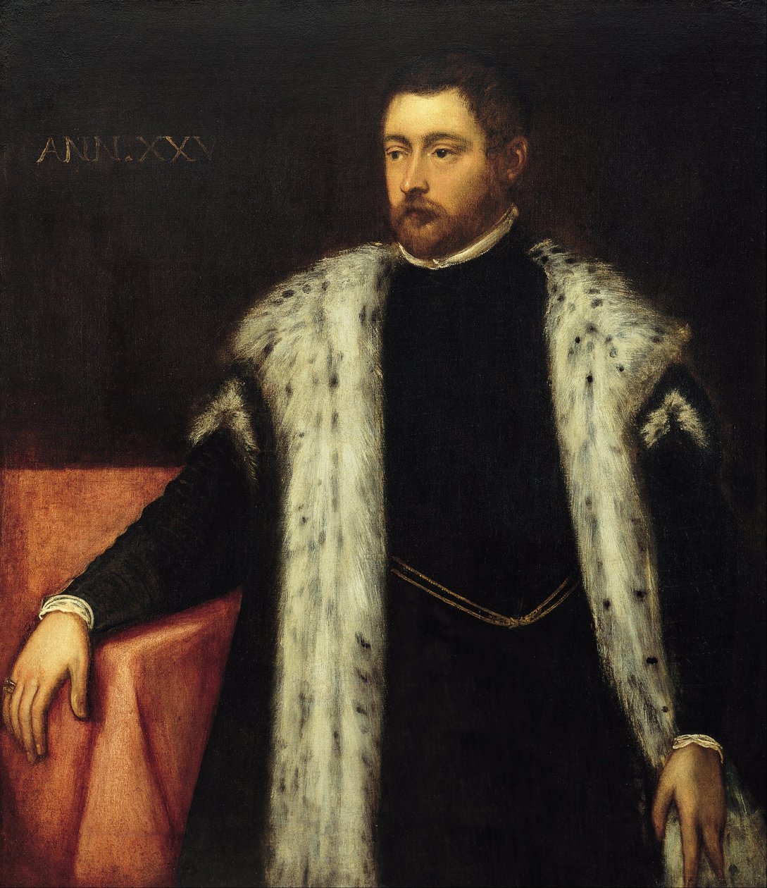 Kaksikymmentäviisi vuotias nuori, jolla on turkisvuorattu takki. tekijältä Jacopo Tintoretto