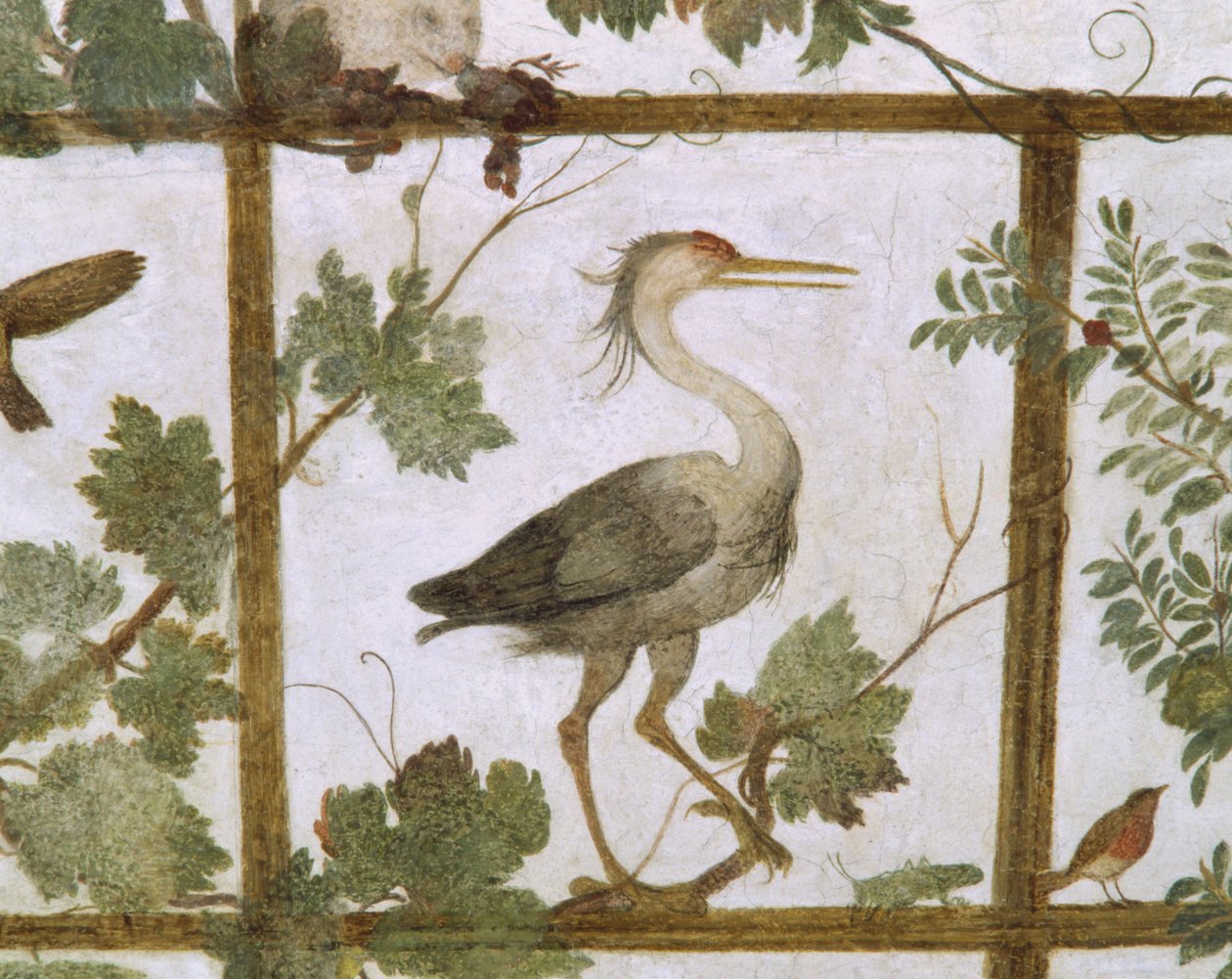 Ibis, Villa Medicin lintuhuoneen freskosta, n. 1576-77 tekijältä Jacopo Zucchi