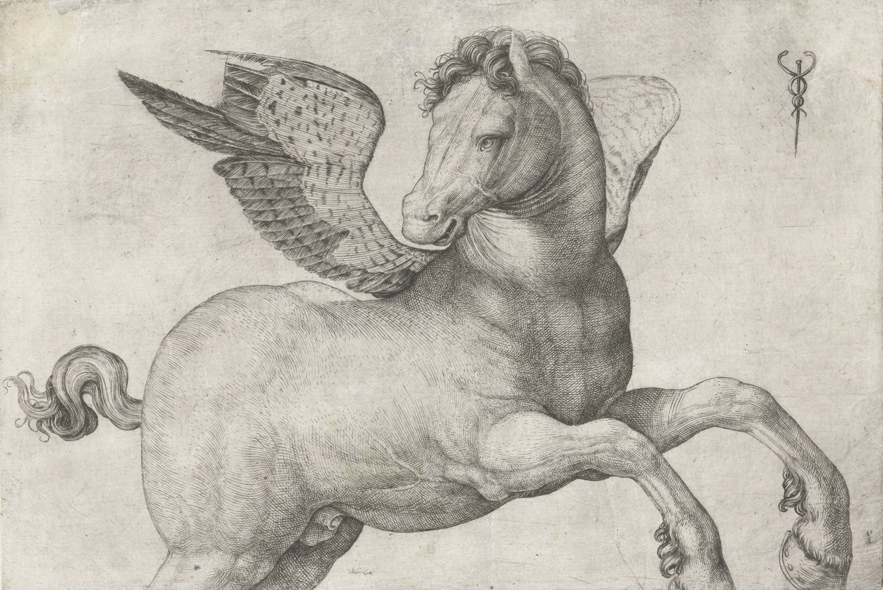 Pegasus, 1509-16 tekijältä Jacopo de Barbari