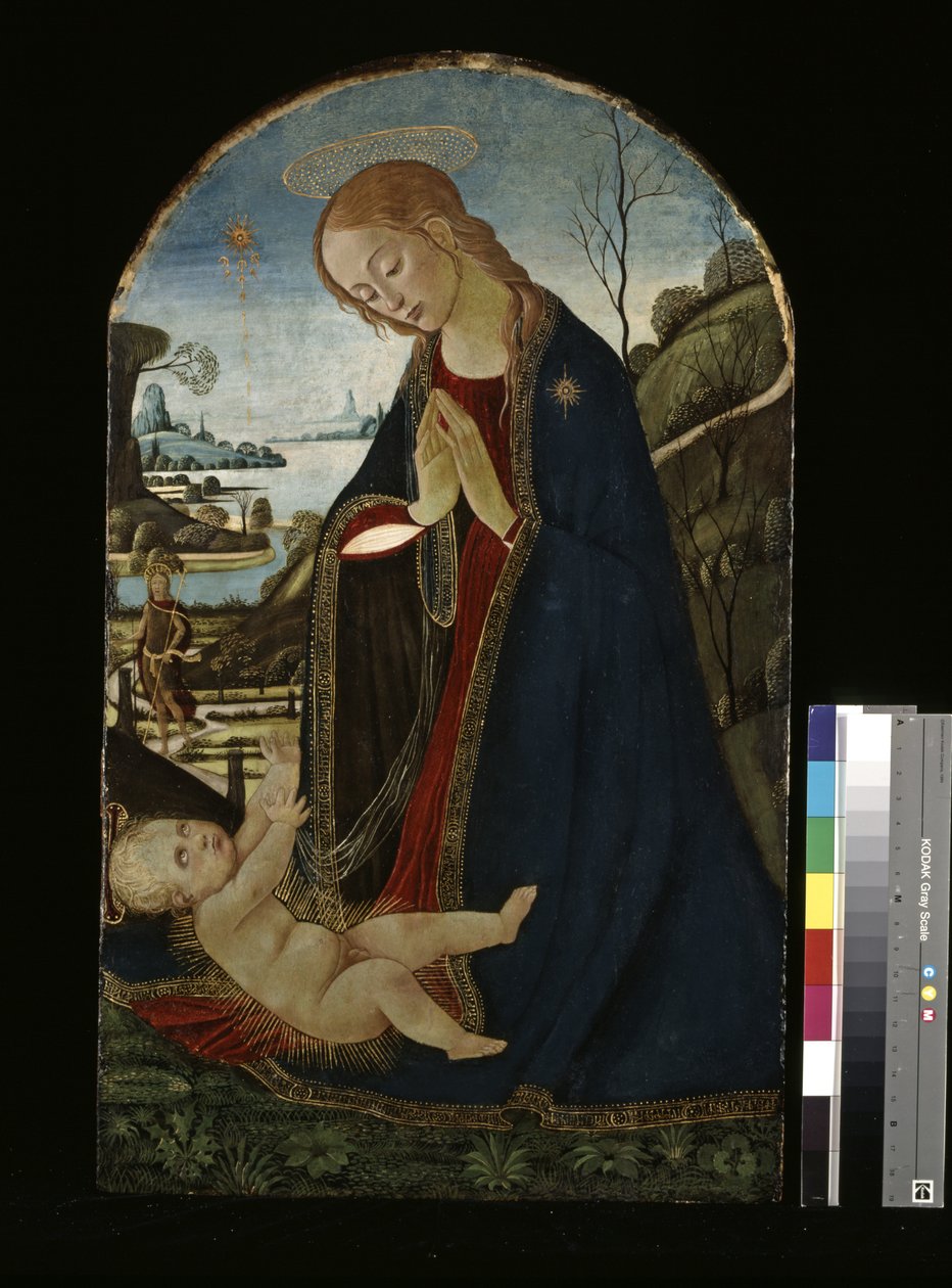 Madonna Adoring The Christ Child (öljy puulle) tekijältä Jacopo del Sellaio