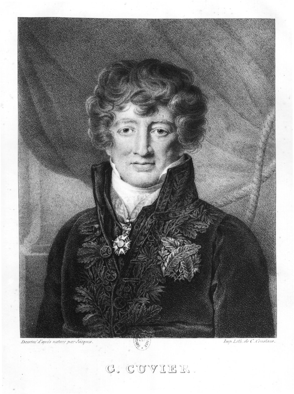 Georges Cuvierin (1769-1832) muotokuva tekijältä Jacques