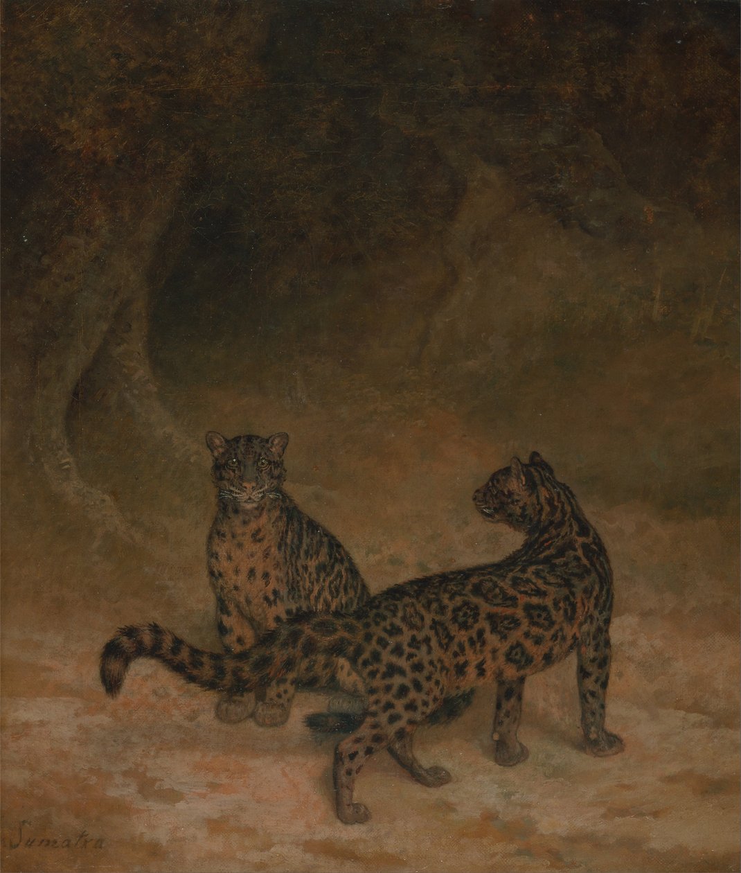 Pilviset leopardit tekijältä Jacques Laurent Agasse