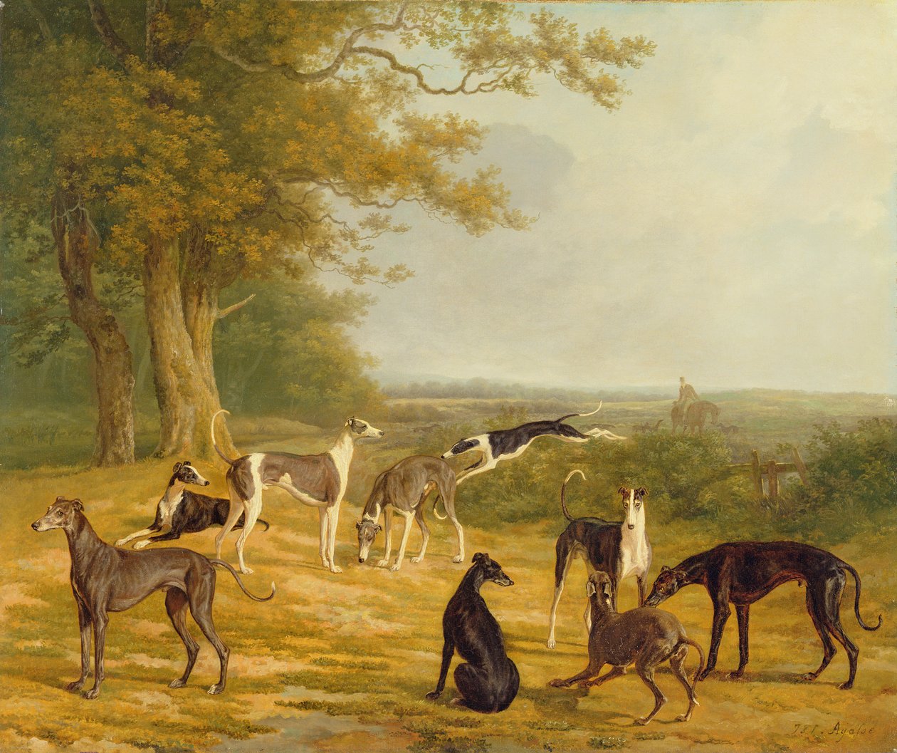 Yhdeksän vinttikoiraa maisemassa tekijältä Jacques Laurent Agasse