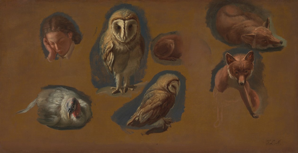 Tutkimuksia ketusta, pöllöstä, pöllöstä, herneestä ja nuoren miehen päästä tekijältä Jacques Laurent Agasse