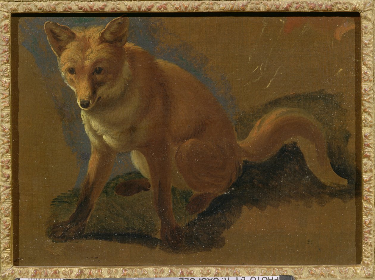 Tutkimus ketusta tekijältä Jacques Laurent Agasse