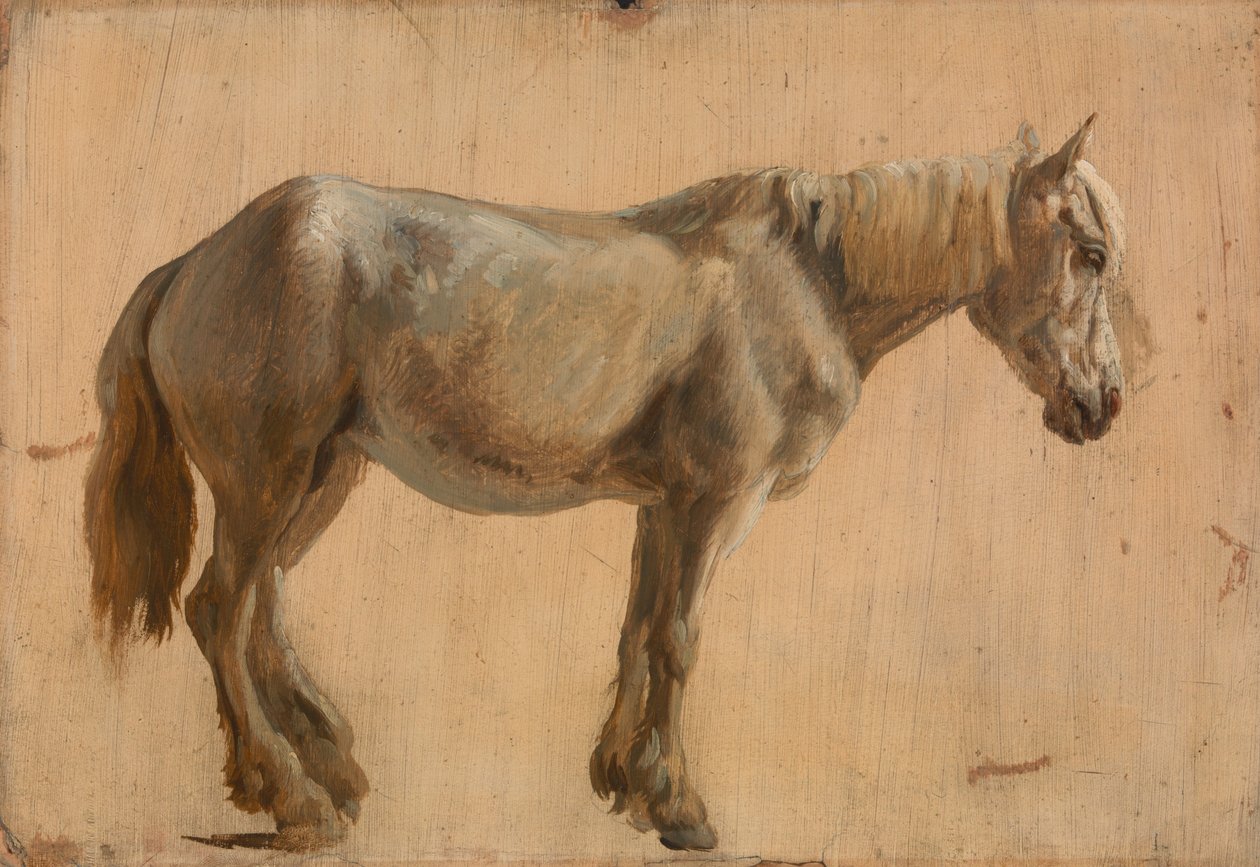 Harmaan hevosen tutkimus tekijältä Jacques Laurent Agasse