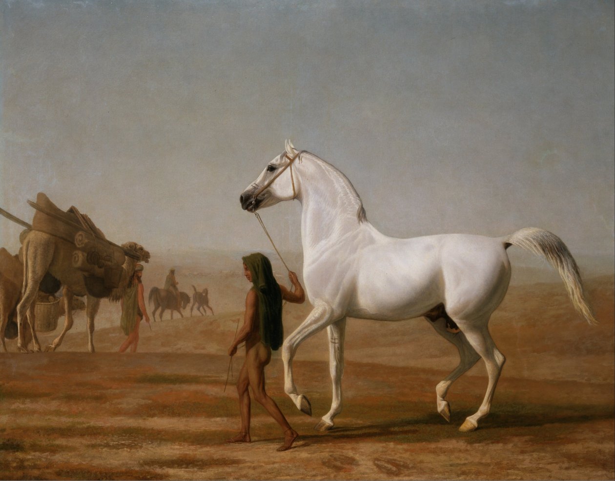 Wellesleyn harmaa arabia johti aavikon läpi tekijältä Jacques Laurent Agasse