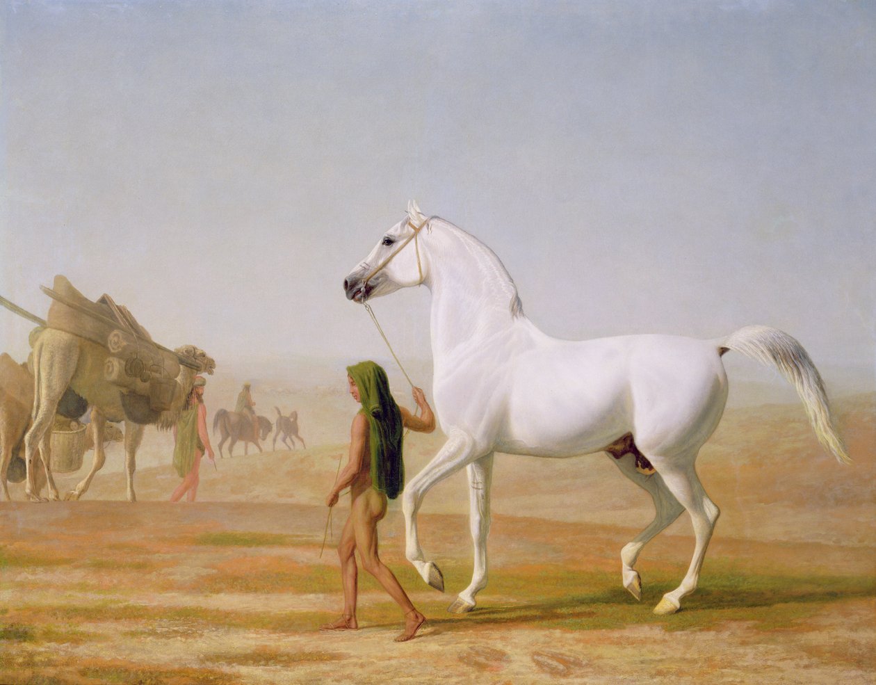 Wellesley Grey Arabian johti aavikon halki, noin 1810 tekijältä Jacques Laurent Agasse