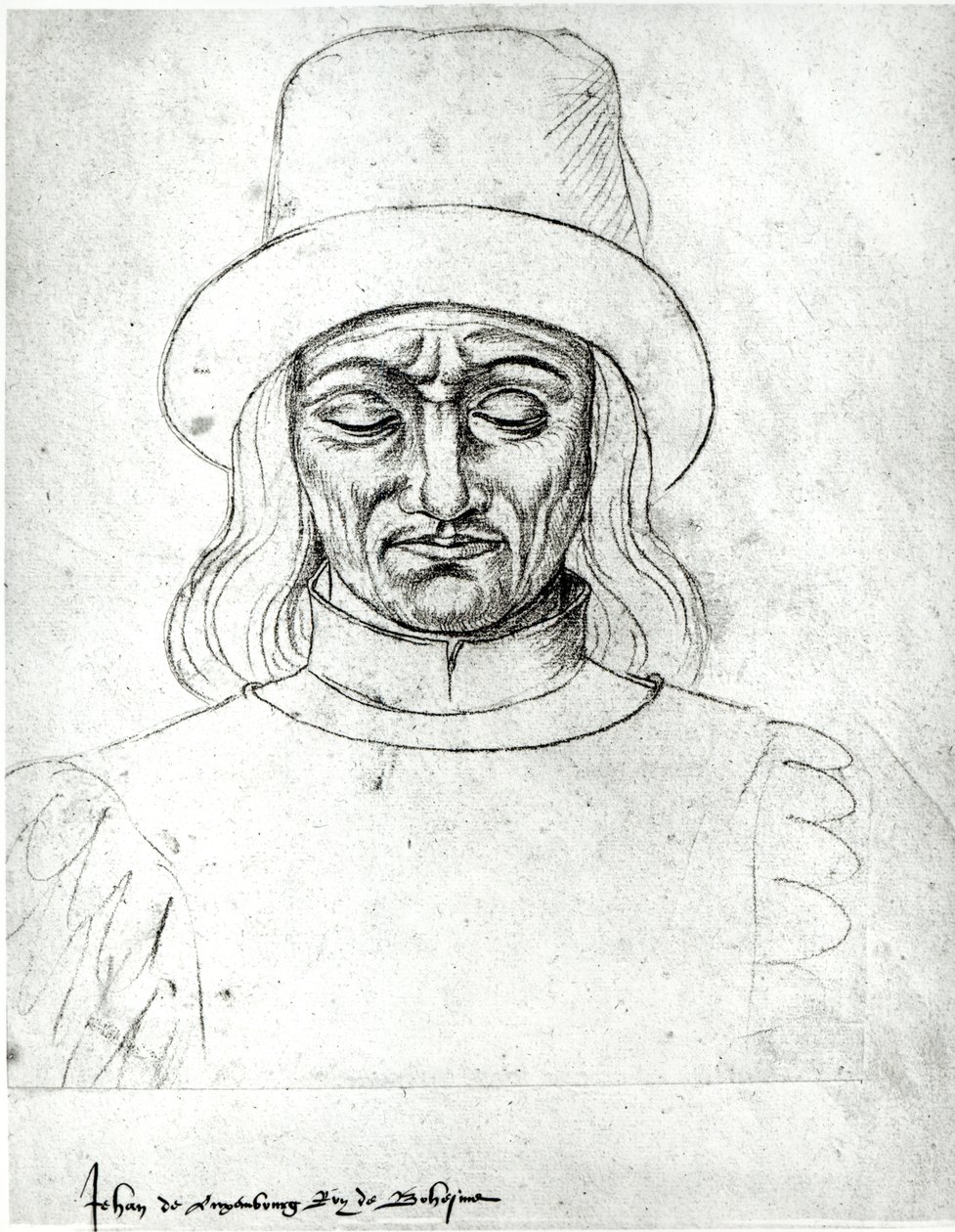 Ms.266 fol.171 John of Luxembourg (1296-1346), Böömin kuningas, "Recueil d