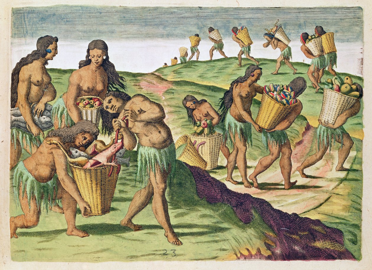 Elintarvikkeiden kerääminen yhteiseen varastohuoneeseen, "Brevis Narratio..", kaivertanut Theodore de Bry (1538-98), julkaistu Frankfurtissa, 1591 tekijältä Jacques Le Moyne