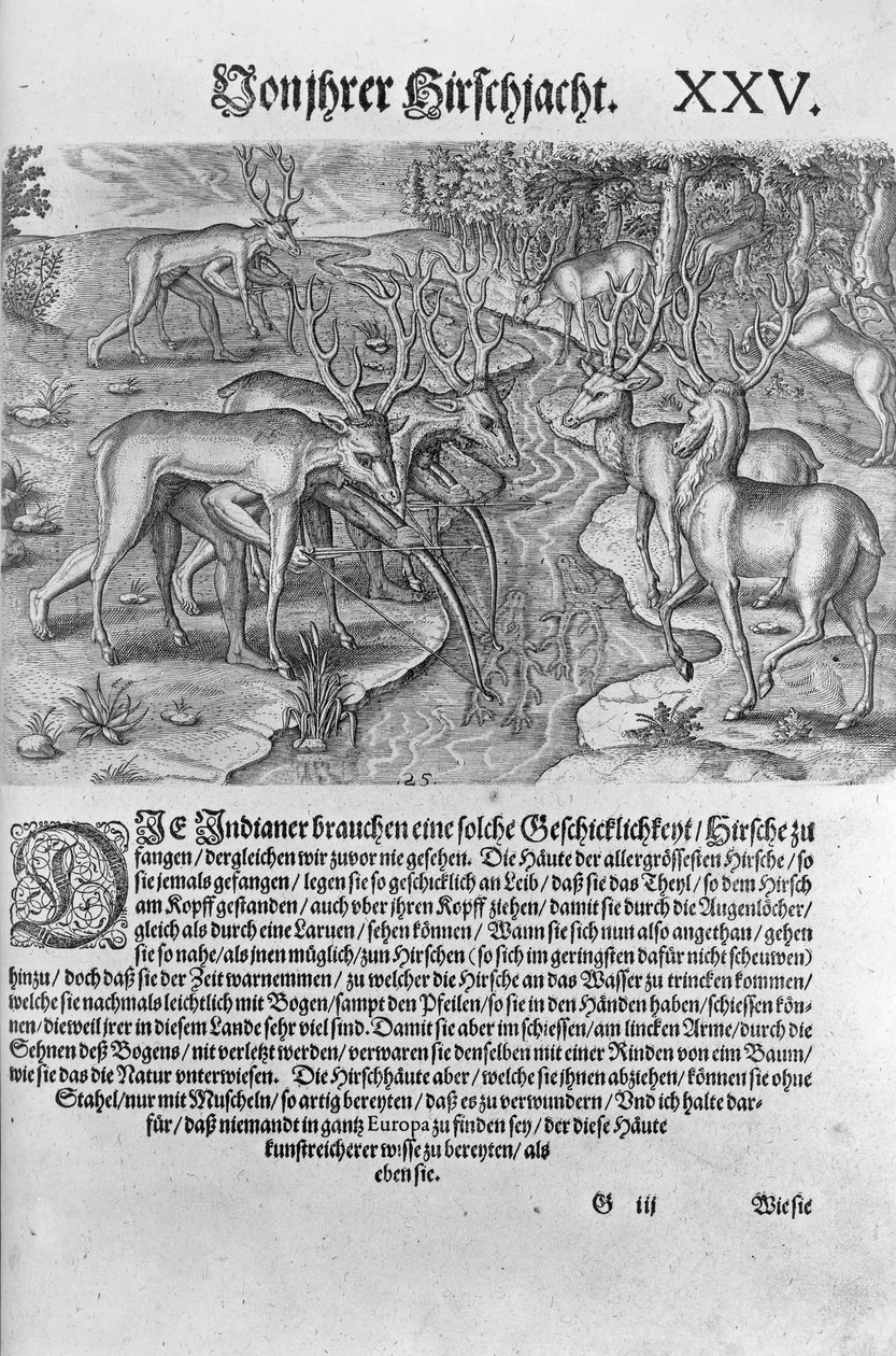 Floridan intiaanit metsästävät peuroja naamioituneena hirvennahkojen alle, Theodor de Bryn (1528-98) 1591 kaivertamasta "Americae Decima Pars" -julkaisusta tekijältä Jacques Le Moyne
