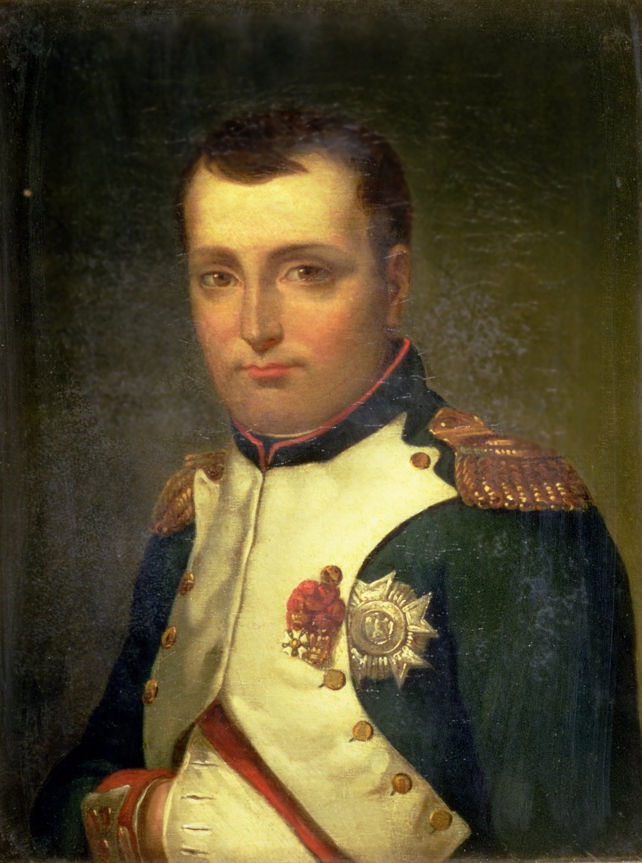 Napoleon Bonaparte (1769-1821) tekijältä Jacques Louis David