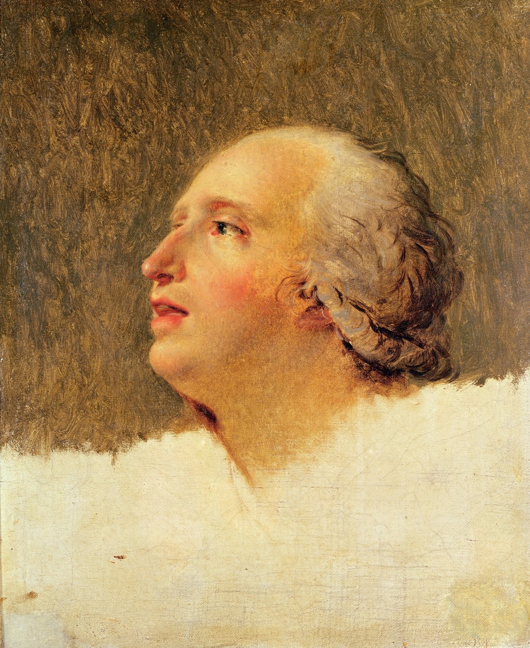 Pierre Louis Prieurin (Prieur de la Marne) muotokuva (katso myös 104595) tekijältä Jacques Louis David