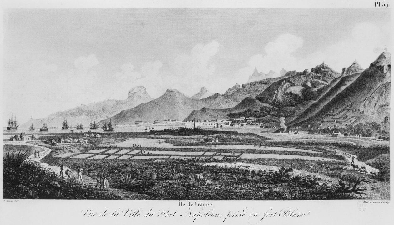 Ranskan saari (Mauritius), näkymä Port-Napoleonista (bw-kaiverrus) tekijältä Jacques Milbert