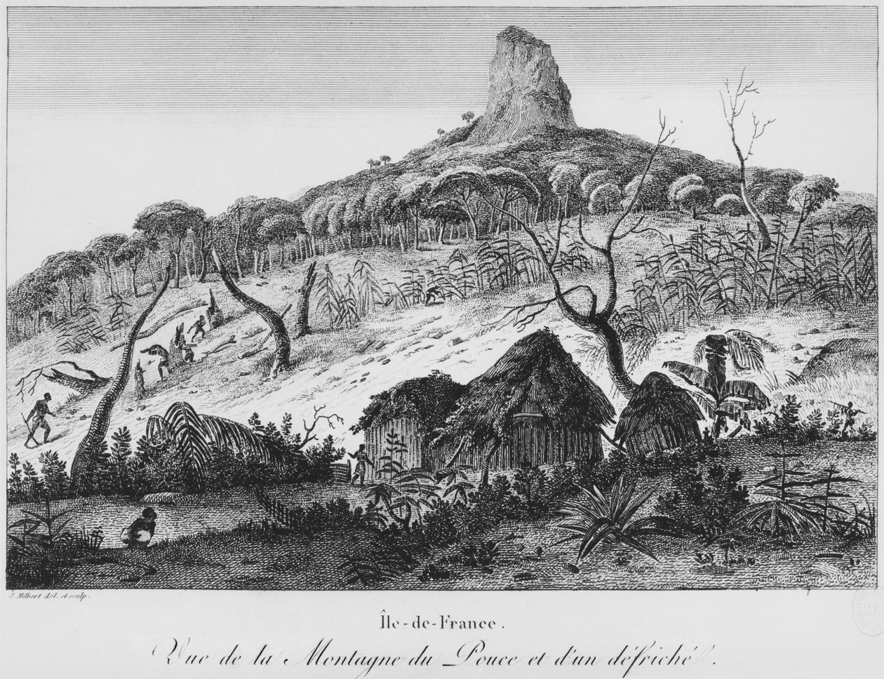 Näkymä Pouce-vuorelle ja metsän aukiolle, Mauritius, kuvitus teoksesta "Voyage viehättävä a l
