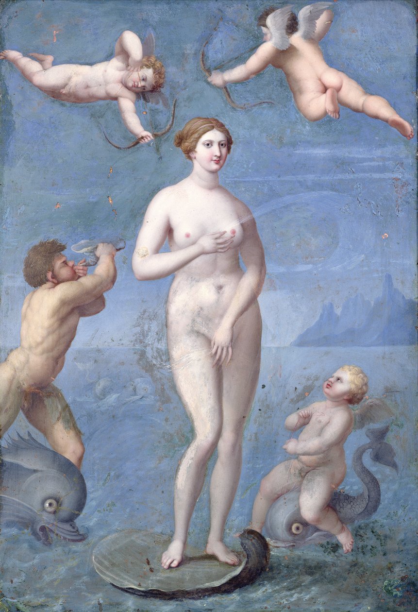 Venus, 1640 (öljy ja tempera kuparilla) tekijältä Jacques Stella