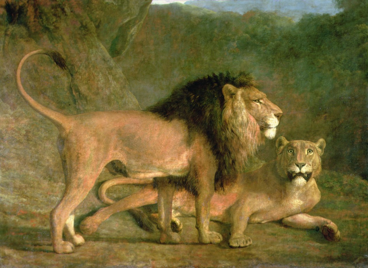 Leijona ja leijona kivilaaksossa (öljy kankaalle) tekijältä Jacques Laurent Agasse