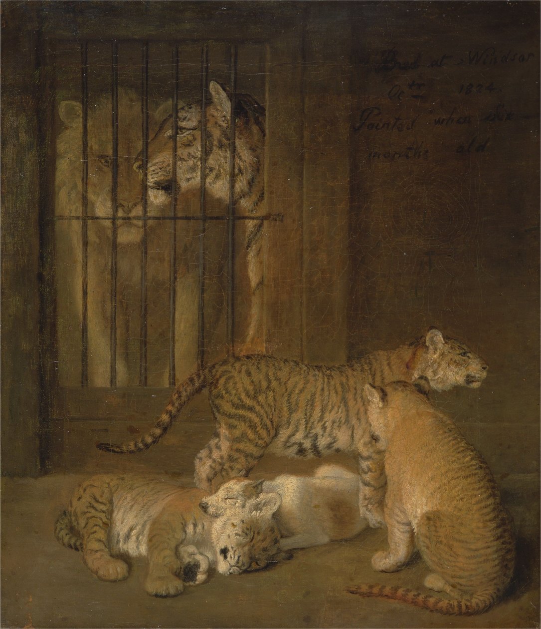 Leijonan ja tiikerin välissä kasvanut penturyhmä tekijältä Jacques-Laurent Agasse