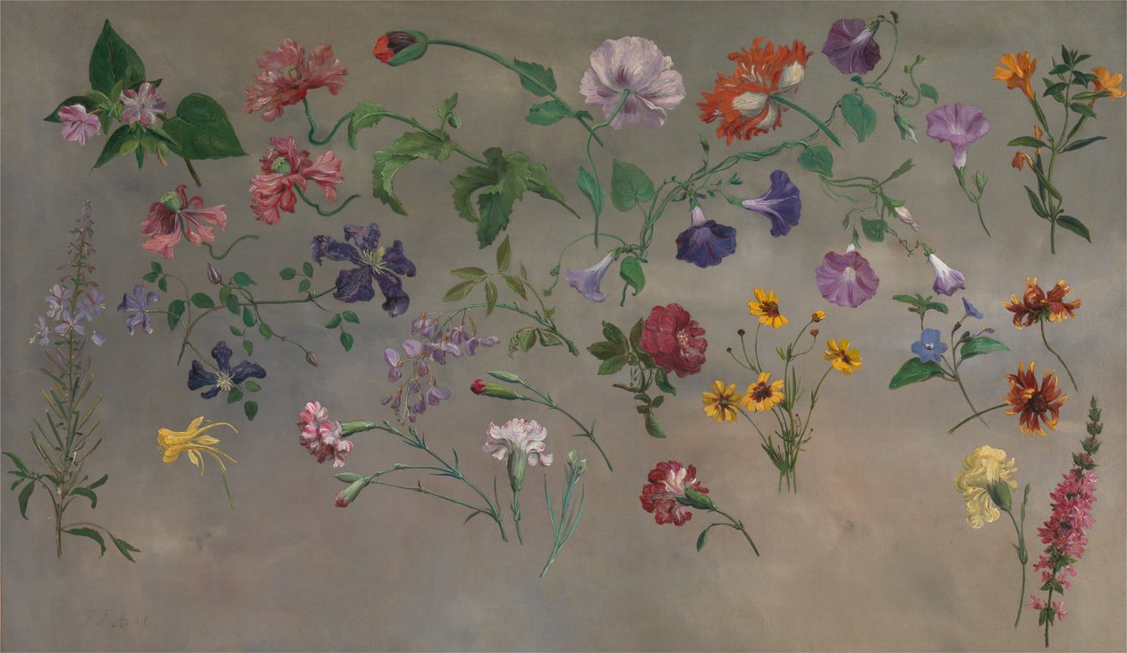 Studies of Flowers [1985, Cormack, YCBA Concise Catalogue] tekijältä Jacques-Laurent Agasse