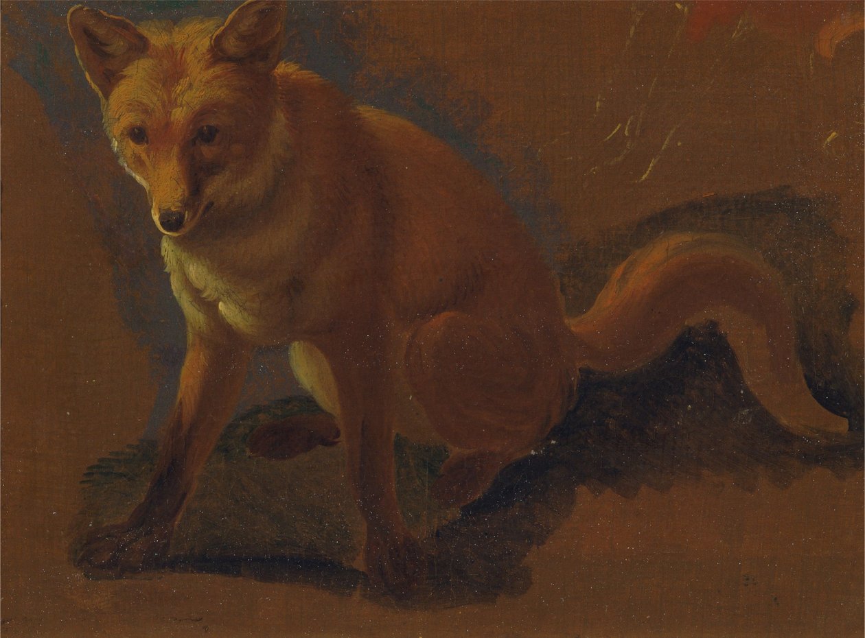 Tutkimus ketusta tekijältä Jacques-Laurent Agasse