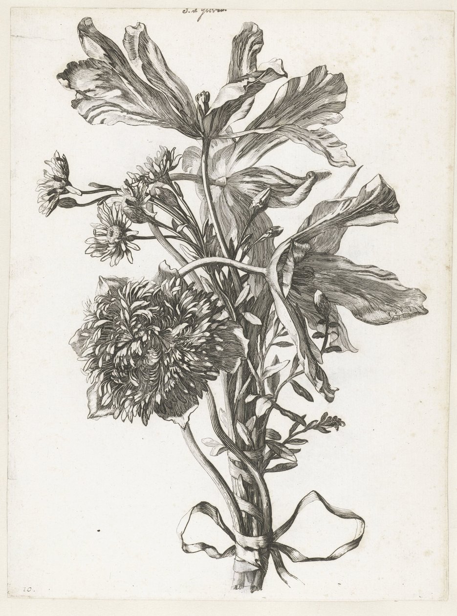 Kukkakimppu, jossa haalistuneet tulppaanit, anemone ja immortelles Diverse Fleurs mises en Boucquets (sarjan nimi) tekijältä Jacques Bailly (I)