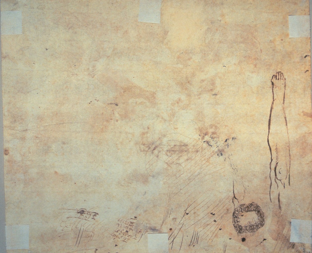 Tutkimus legistä, kukoistamisesta ja doodleista tekijältä Jacques Bellange