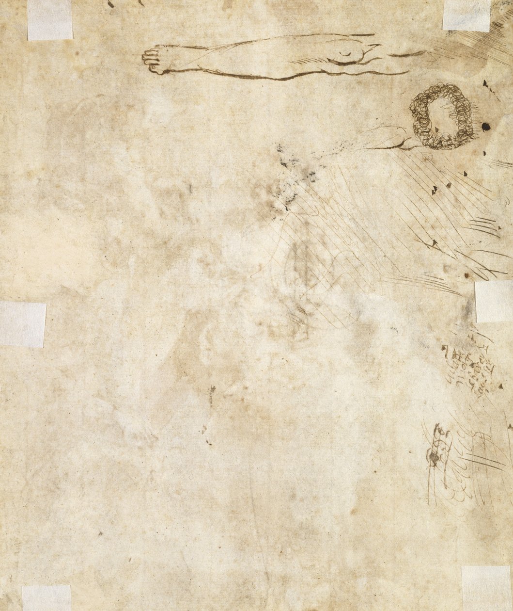 Tutkimus jaloista, kukoistamisesta ja doodleista, 1610-17 tekijältä Jacques Bellange