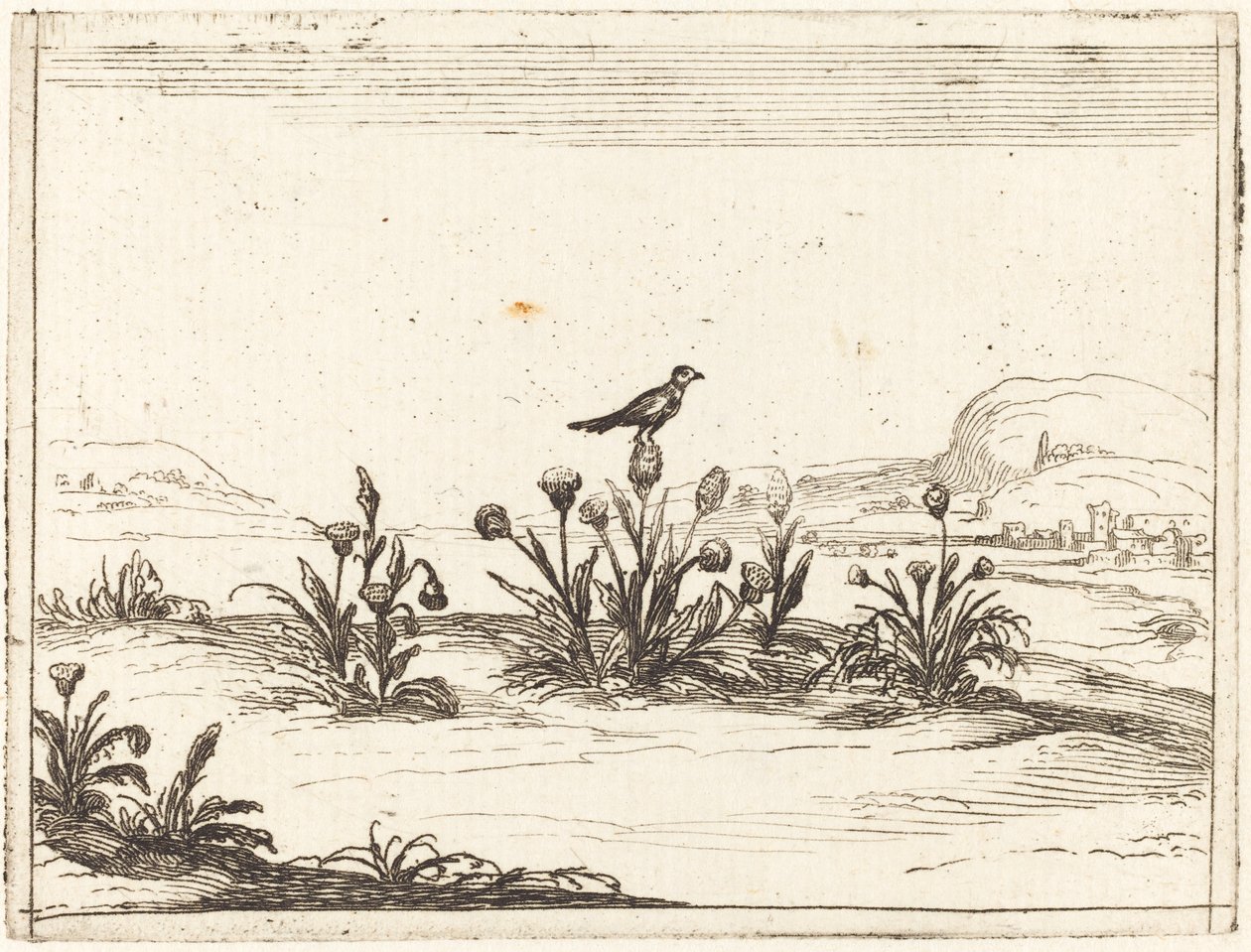 Lintu kyydissä ohdakkeen päällä tekijältä Jacques Callot