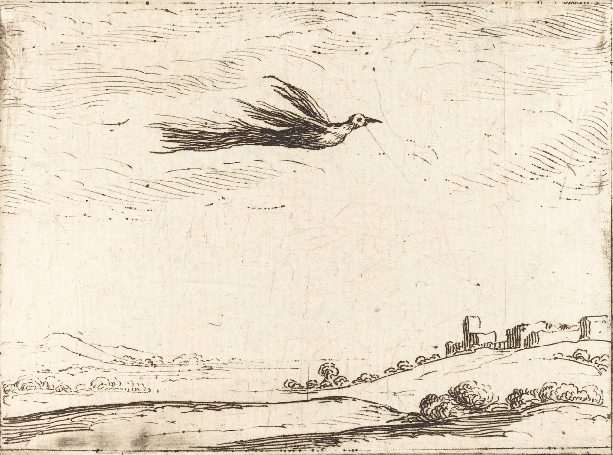 Paratiisin lintu. tekijältä Jacques Callot