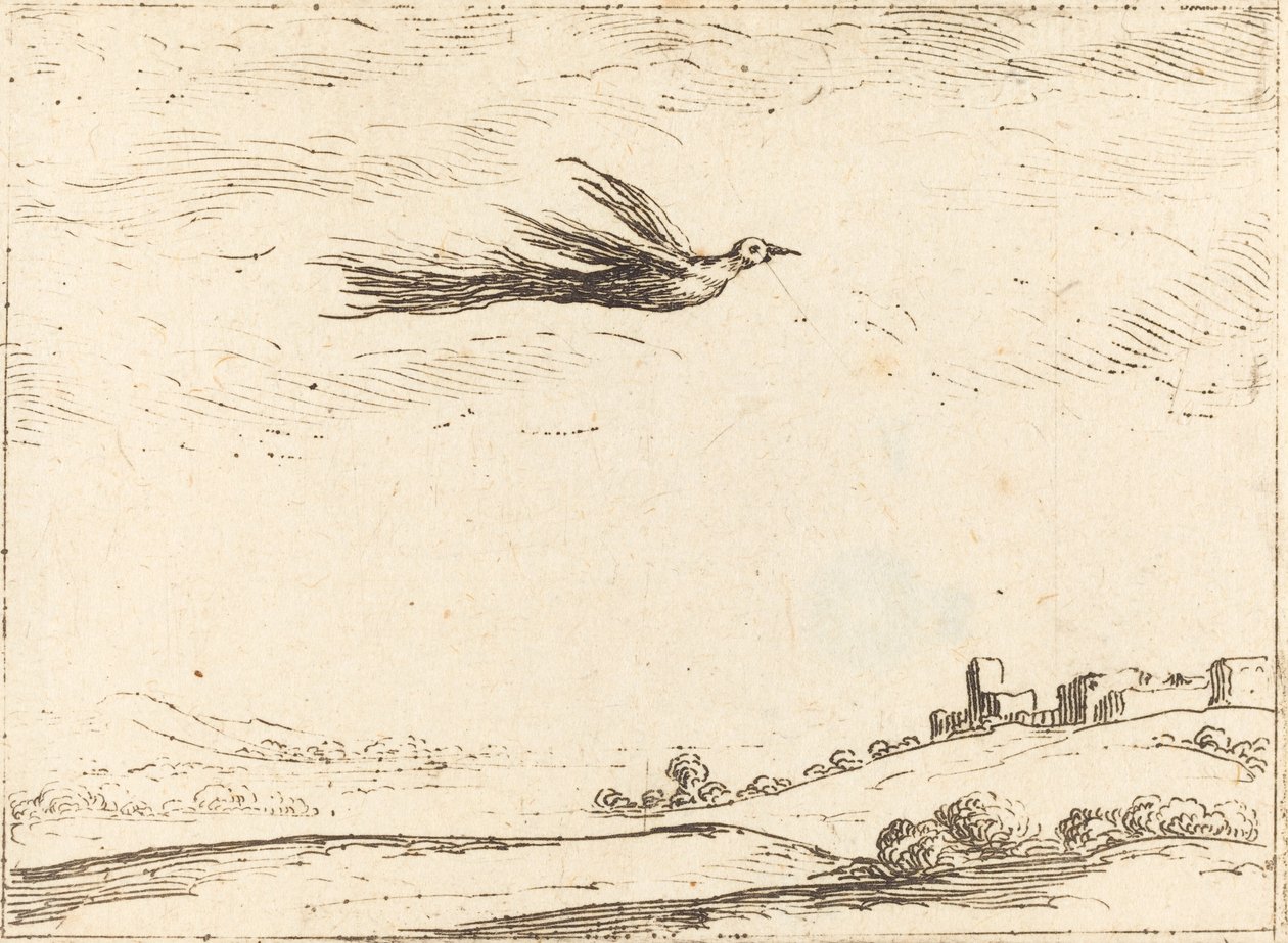 Paratiisin lintu tekijältä Jacques Callot