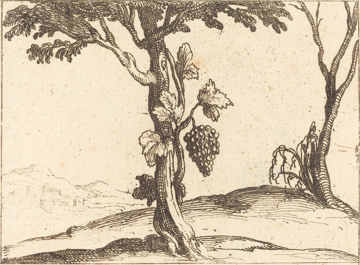 Rypäleterttu tekijältä Jacques Callot