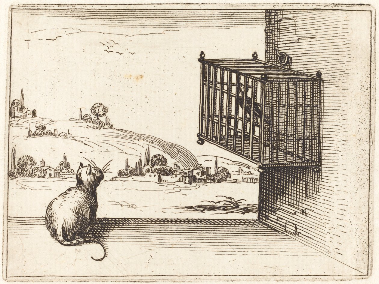 Kissa katselee häkkilintua tekijältä Jacques Callot