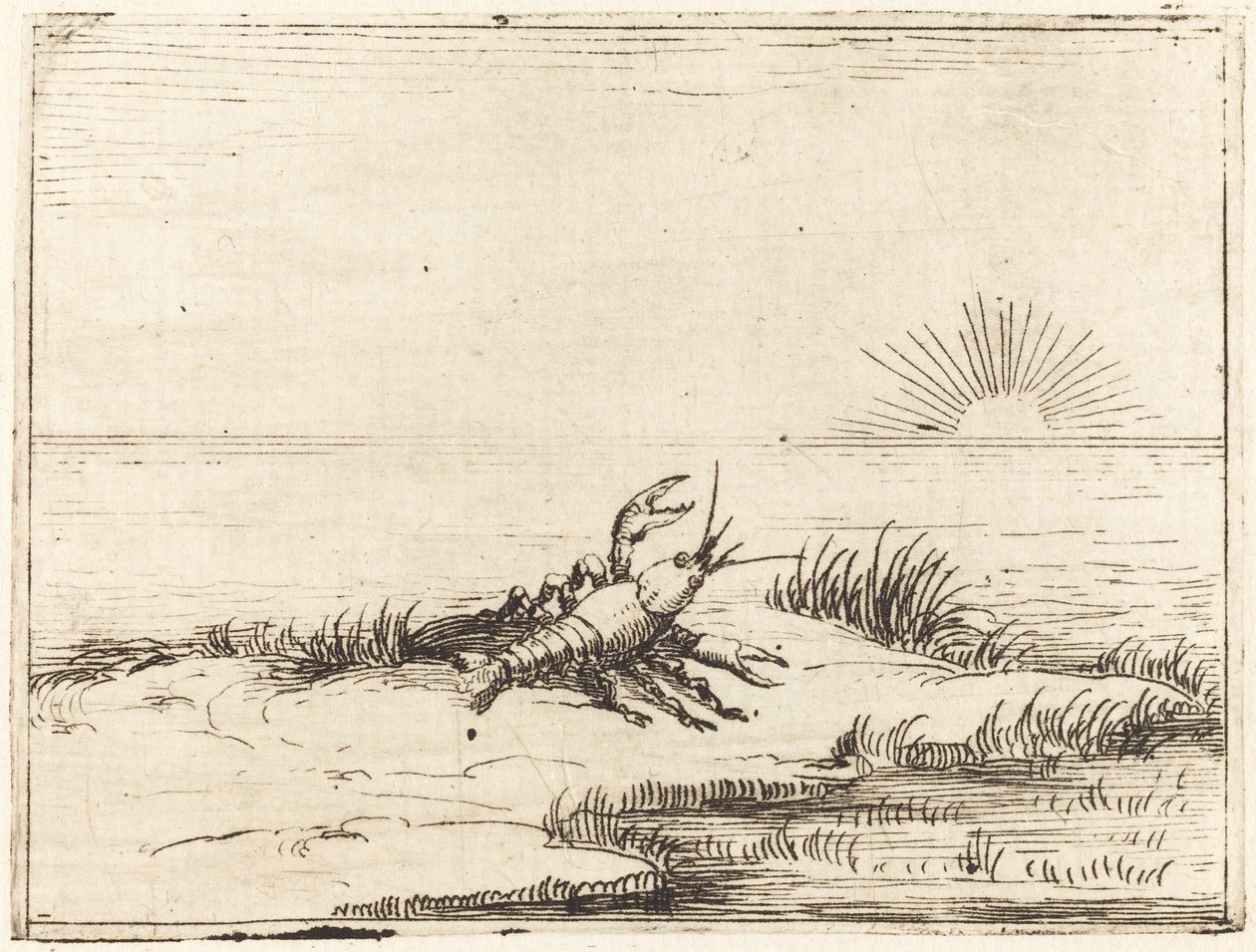 Rapu katselee aurinkoa tekijältä Jacques Callot