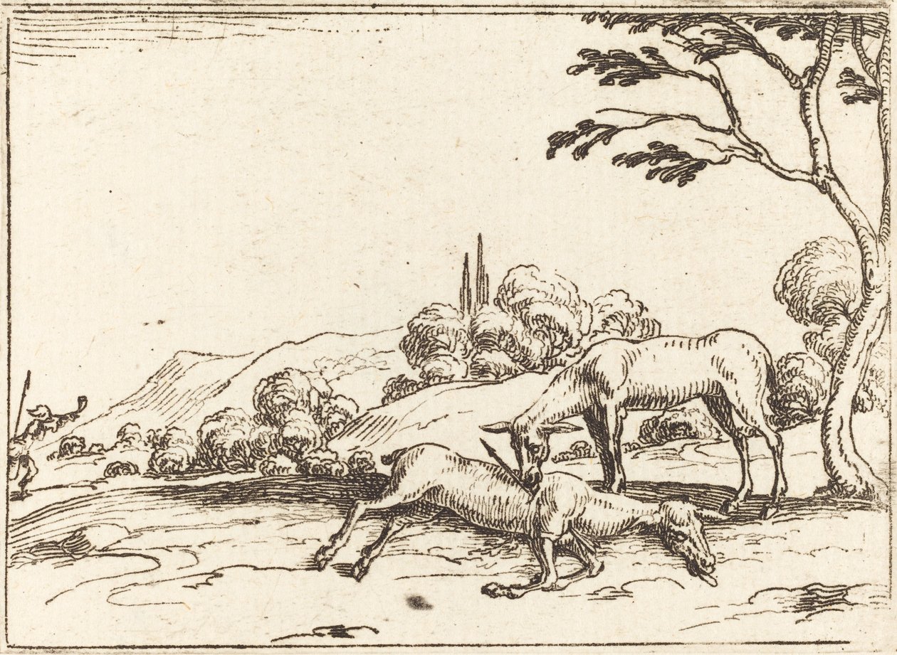 Doe Surua varsaansa. tekijältä Jacques Callot