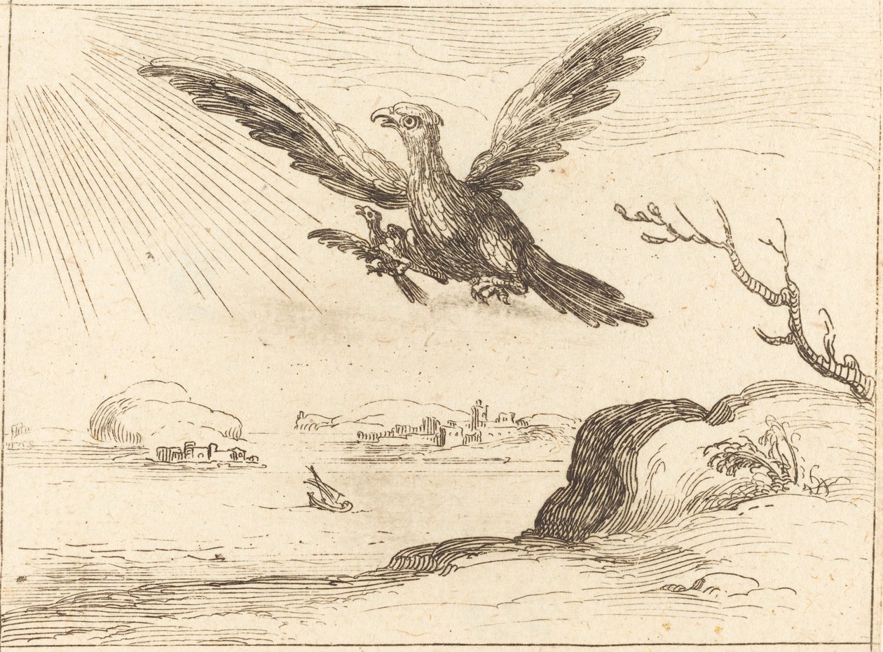 Kotka ja nuori. tekijältä Jacques Callot