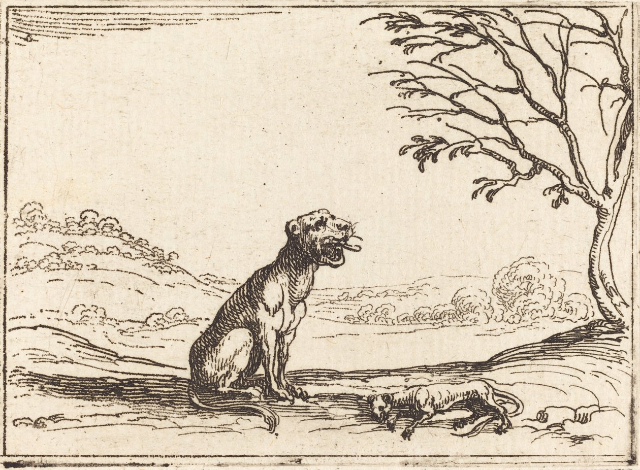 Lioness suree poikaansa tekijältä Jacques Callot