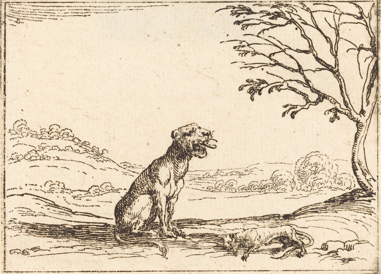 Lioness suree poikaansa tekijältä Jacques Callot