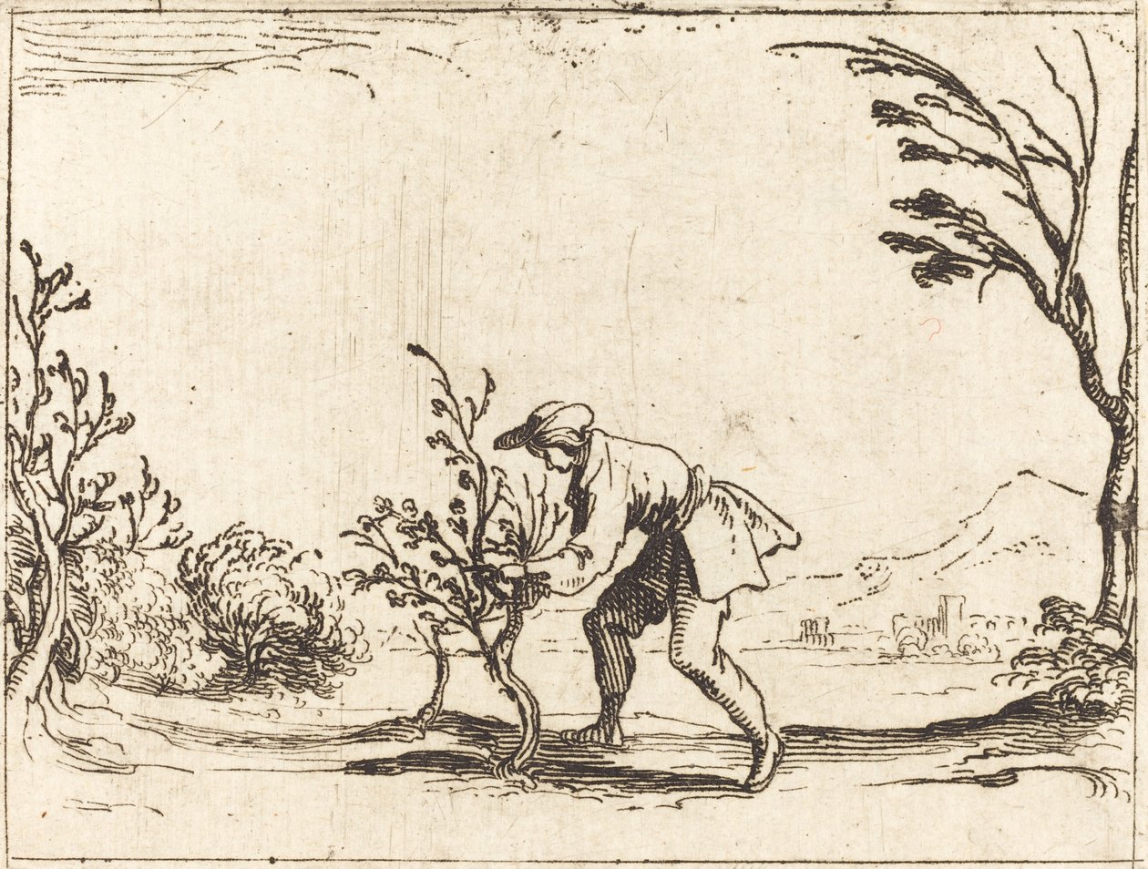 Mies leikkaa balsamipuuta tekijältä Jacques Callot