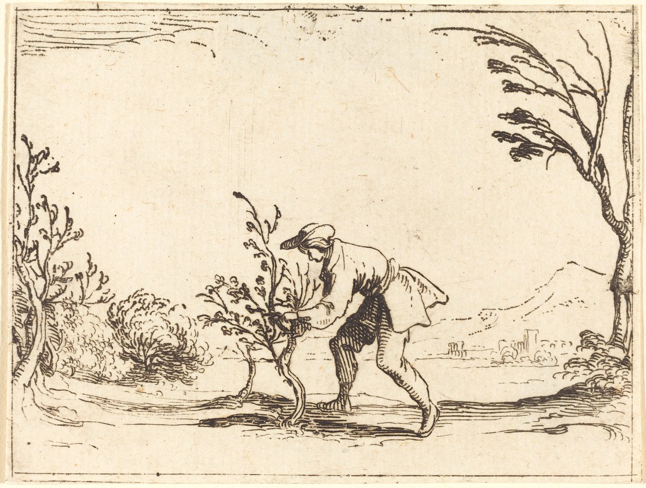 Mies leikkaa balsamipuuta tekijältä Jacques Callot